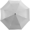 Alex 21.5" foldable auto open/close umbrella