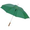 Lisa 23" auto open umbrella with wooden handle