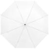 Ida 21.5" foldable umbrella
