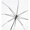 Alina 23" auto open recycled PET umbrella