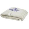 Ivy GRS certified RPET blanket