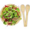 Argulls bamboo salad bowl and tools