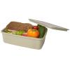 Dovi 800 ml recycled plastic lunch box