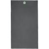 Pieter GRS ultra lightweight and quick dry towel 100x180 cm