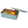 Dovi 800 ml lunch box