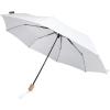 Dane 21" RPET umbrella