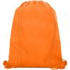 Oriole mesh drawstring bag 5L