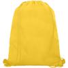 Oriole mesh drawstring bag 5L
