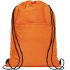 Oriole 12-can drawstring cooler bag 5L