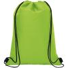 Oriole 12-can drawstring cooler bag 5L