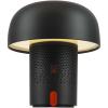 Kooduu Sensa Play JBL portable speaker and lamp