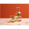 Amelie glass carafe and cup set with matt finish