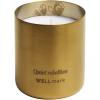 Wellmark scented candle
