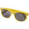 Sun Ray rPET sunglasses