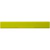 Renzo 30 cm plastic ruler