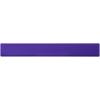 Renzo 30 cm plastic ruler
