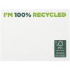 Sticky-Mate® recycled sticky notes 100x75 mm