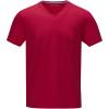 Kawartha short sleeve men's organic V-neck t-shirt