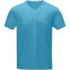 Kawartha short sleeve men's organic V-neck t-shirt