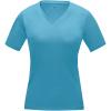 Kawartha short sleeve women's organic v-neck t-shirt