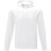 Charon men’s hoodie