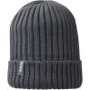 Ives organic beanie