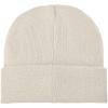 Boreas beanie with patch