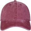 Grafton 6 panel washed cap