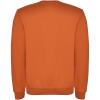 Clasica kids crewneck sweater