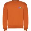 Clasica kids crewneck sweater