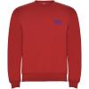 Clasica kids crewneck sweater