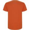 Stafford short sleeve kids t-shirt