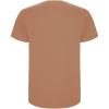 Stafford short sleeve kids t-shirt