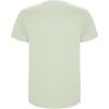 Stafford short sleeve kids t-shirt