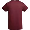 Breda organic cotton short sleeve kids t-shirt