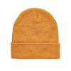 Impact AWARE™ Polylana® beanie