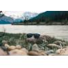 Swiss Peak RCS rplastic polarised sunglasses