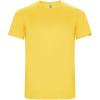 Imola short sleeve men's sports t-shirt