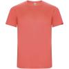 Imola short sleeve men's sports t-shirt