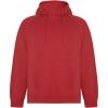 Vinson organic cotton unisex hoodie