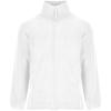 Artic men's full zip fleece jacket