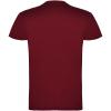 Beagle short sleeve men's t-shirt