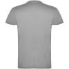 Beagle short sleeve men's t-shirt