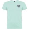 Beagle short sleeve men's t-shirt