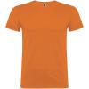 Beagle short sleeve men's t-shirt