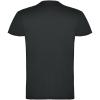Beagle short sleeve men's t-shirt