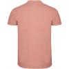 Star short sleeve men's polo