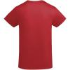 Breda organic cotton short sleeve men's t-shirt