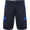 Tahoe 250 g/m2 workwear shorts