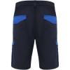 Tahoe 250 g/m2 workwear shorts
